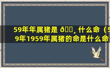 59年年属猪是 🌸 什么命（59年1959年属猪的命是什么命）